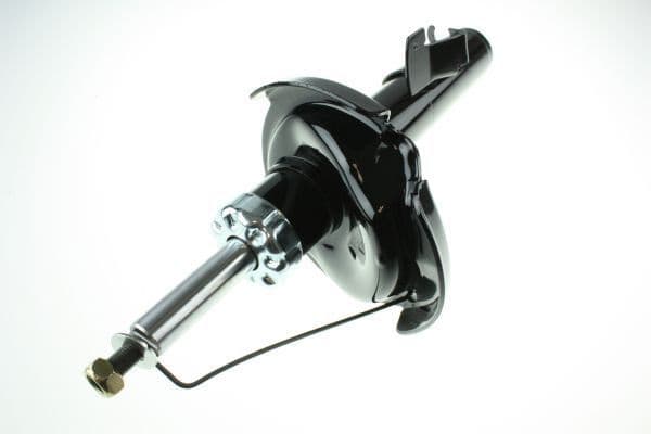 Shock Absorber 110012410