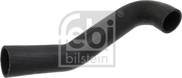 Radiator Hose 101421