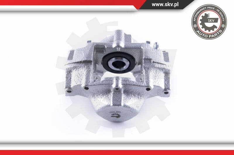 Brake Caliper 55SKV224