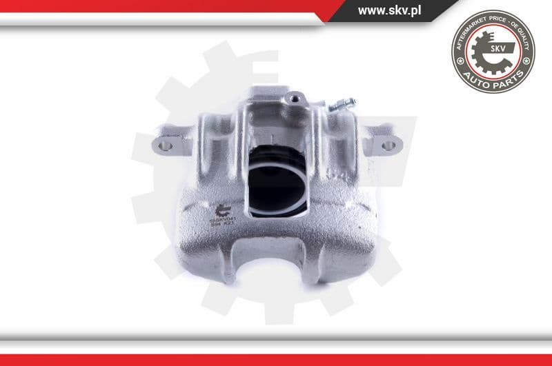 Brake Caliper 55SKV041
