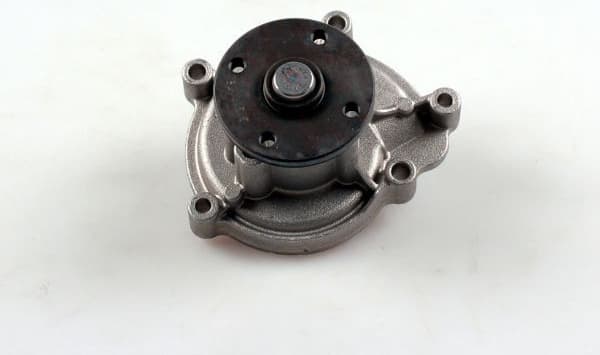 Water Pump, engine cooling P1515