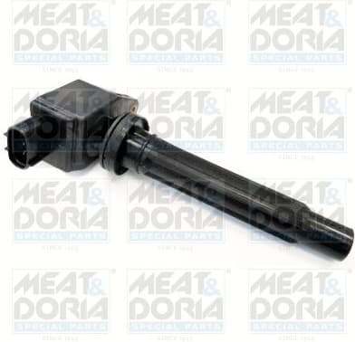 Ignition Coil 10629