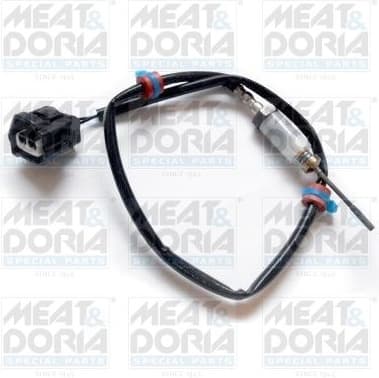 Sensor, exhaust gas temperature 12176