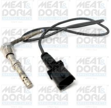 Sensor, exhaust gas temperature 11994