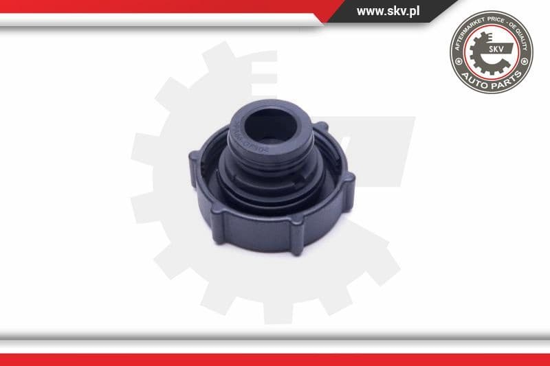 Cap, coolant tank 61SKV006 - image 2