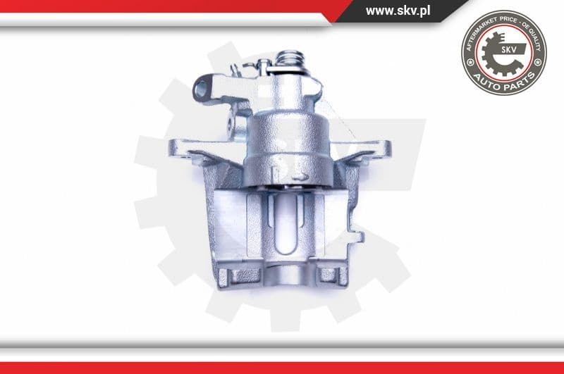 Brake Caliper 42SKV911