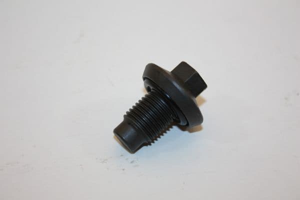 Screw Plug, oil sump 130009910