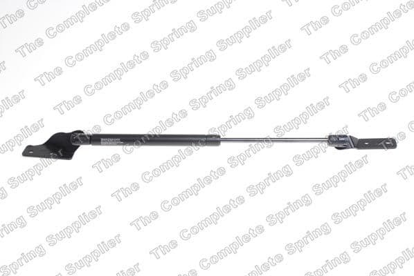 Gas Spring, boot/cargo area 8162055