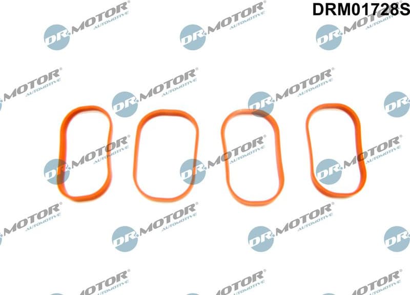 Gasket Set, intake manifold DRM01728S