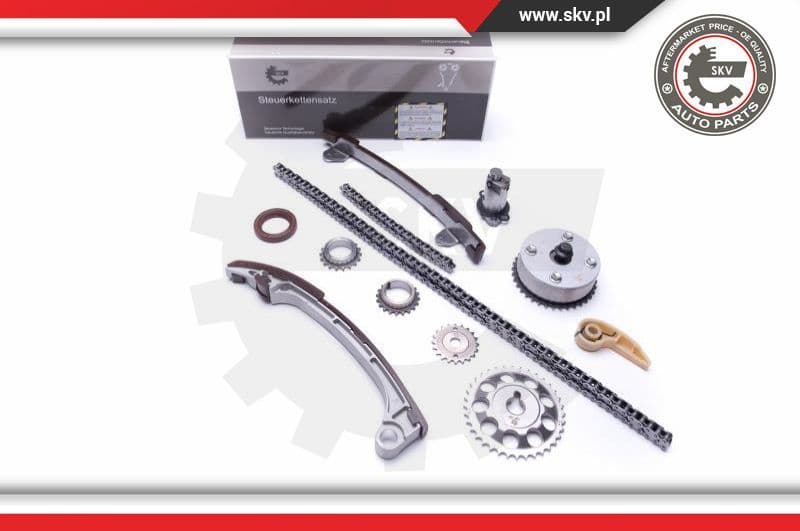 Timing Chain Kit 21SKV197
