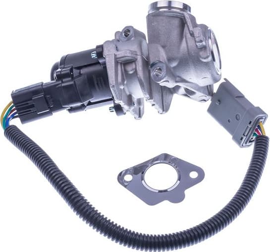 EGR Valve E400032