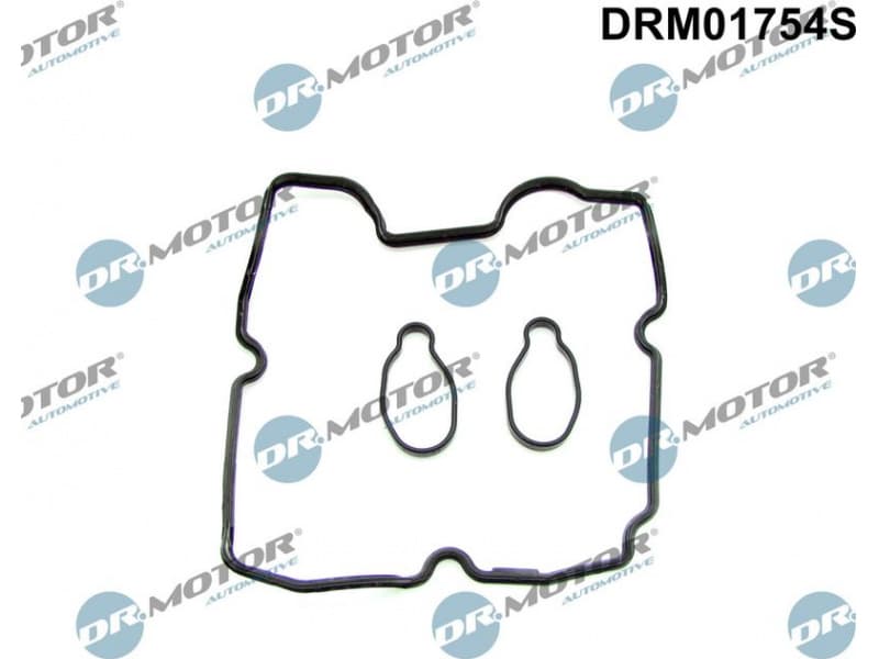 Gasket Set, cylinder head cover DRM01754S