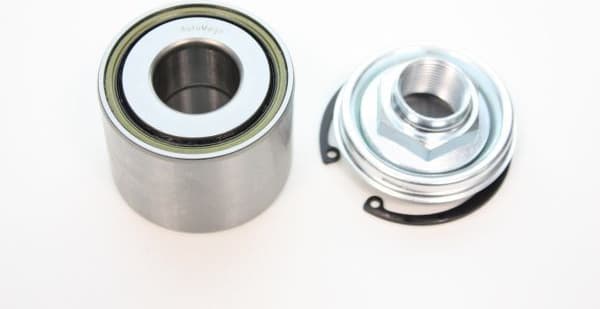 Wheel Bearing Kit 110131210