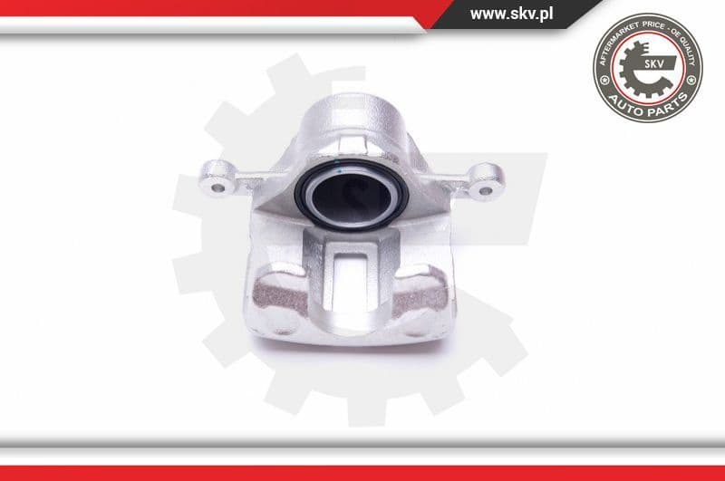 Brake Caliper 45SKV782