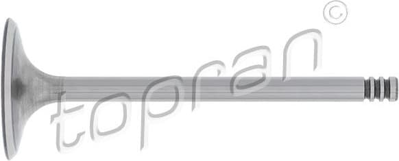 Intake Valve 107 554