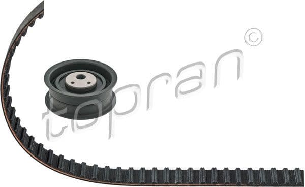 Timing Belt Kit 101 433