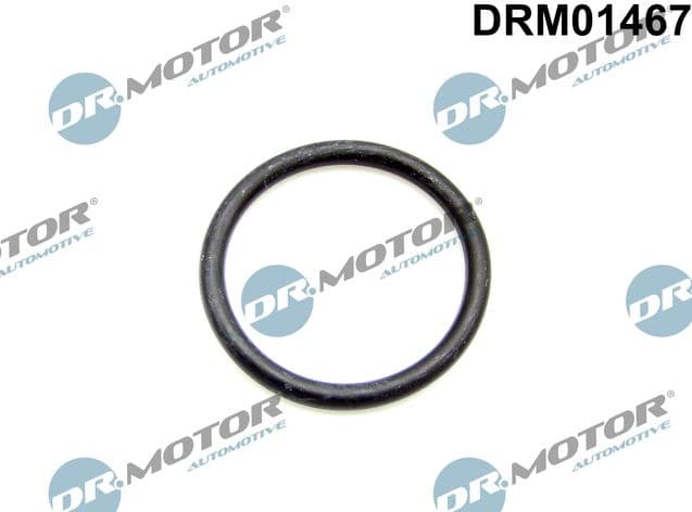 Seal Ring, coolant hose DRM01467