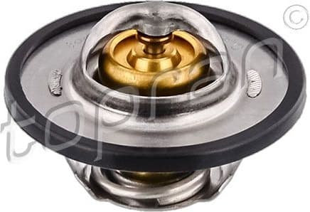 Thermostat, coolant 720 750