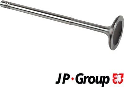 Intake Valve JP 1111301100
