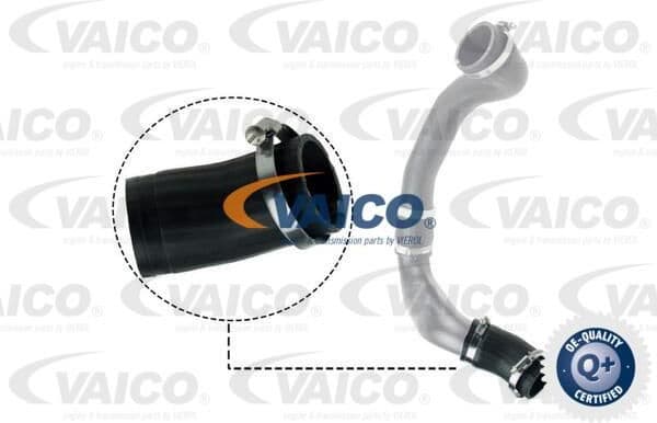 Charge Air Hose Original VAICO Quality V48-0186