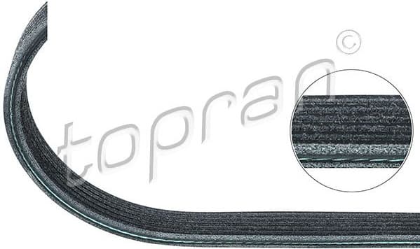 V-ribbed Belt 109 865