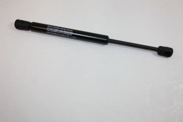 Gas Spring, boot/cargo area 100017610