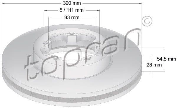 Brake Disc 303 975