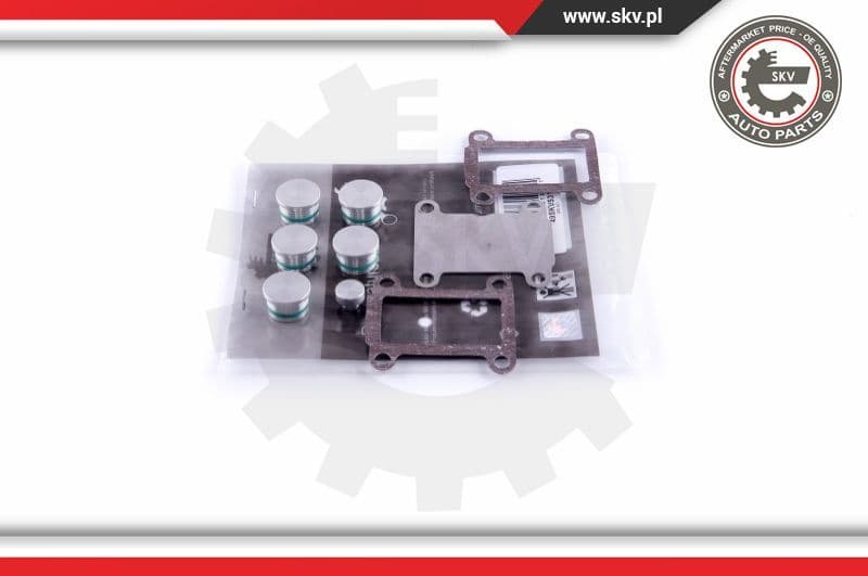 Repair Kit, intake manifold module 49SKV531