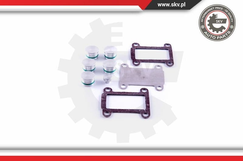 Repair Kit, intake manifold module 49SKV531 - image 2