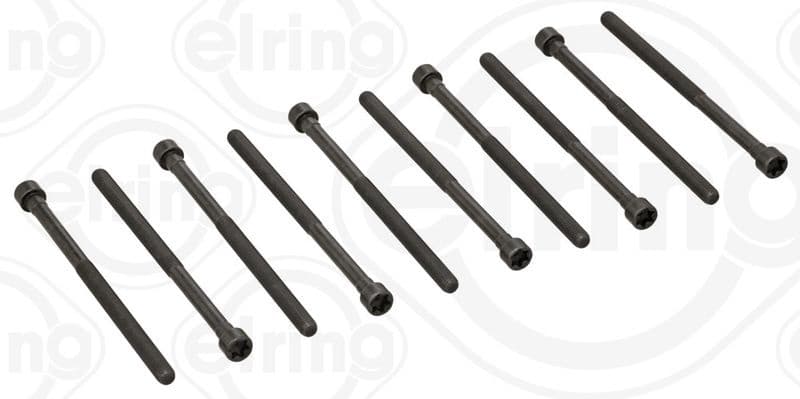 Cylinder Head Bolt Set 577.230