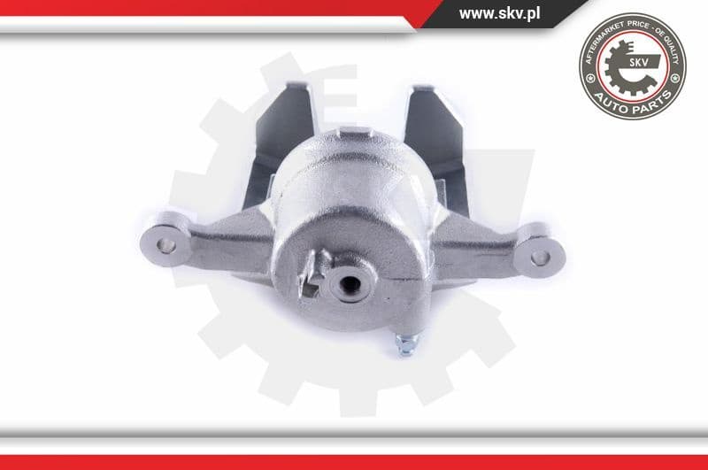 Brake Caliper 55SKV271