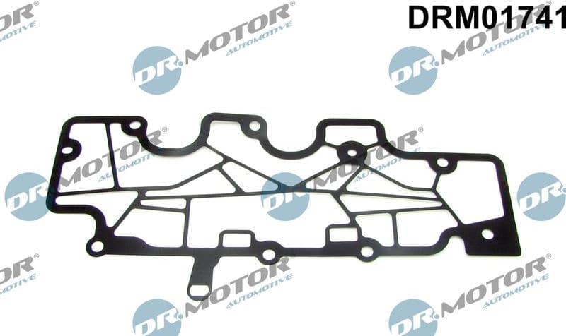 Gasket, crankcase ventilation DRM01741