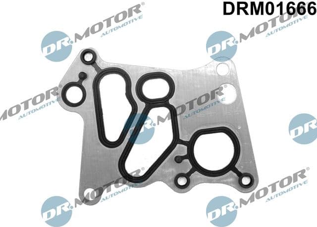 Gasket, oil cooler DRM01666
