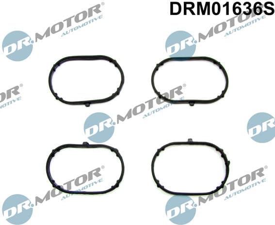 Gasket Set, intake manifold DRM01636S