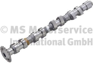 Camshaft 50006308