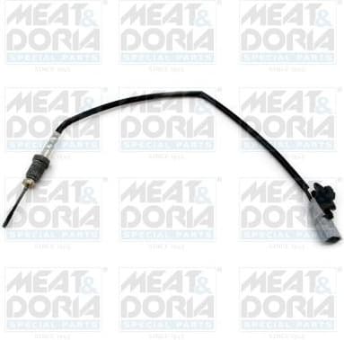 Sensor, exhaust gas temperature 12460