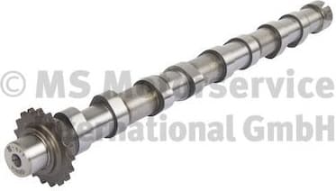 Camshaft 50007871
