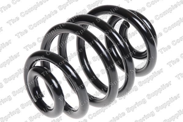 Suspension Spring 4208468