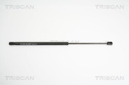 Gas Spring, boot/cargo area 8710 11225