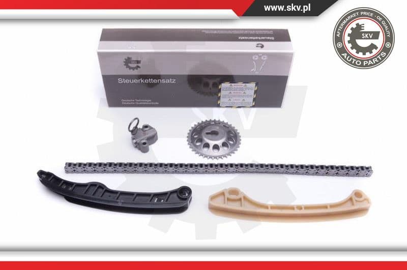 Timing Chain Kit 21SKV211