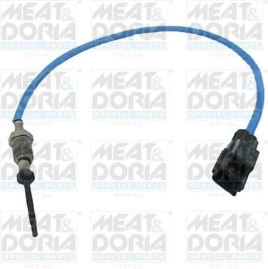 Sensor, exhaust gas temperature 12430
