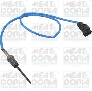 Sensor, exhaust gas temperature 12421