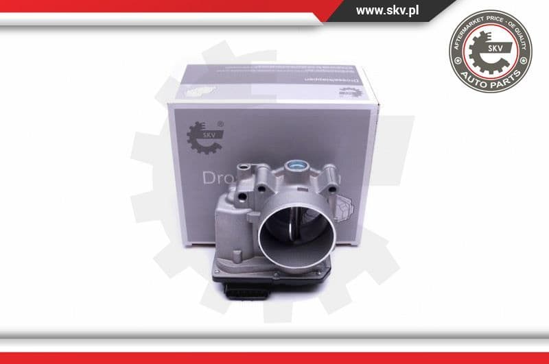 Throttle Body 12SKV091