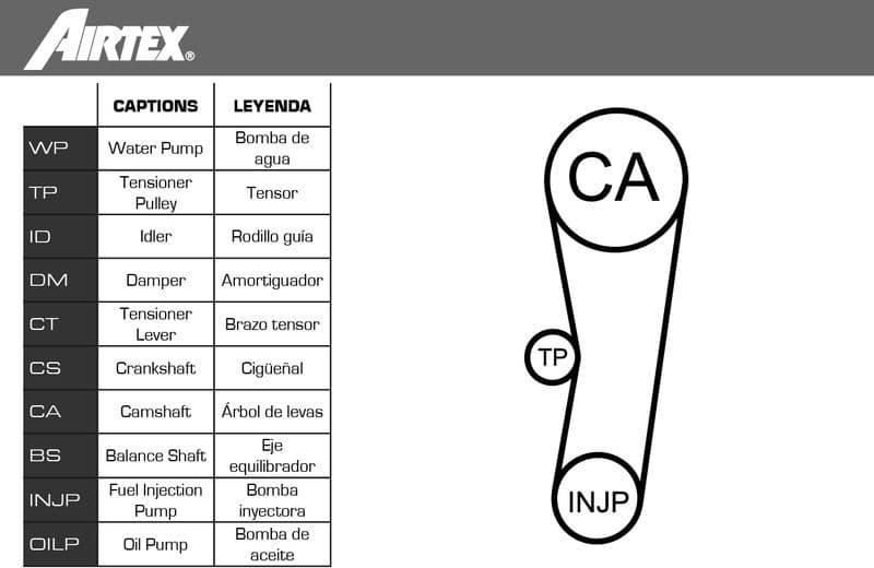 Water Pump & Timing Belt Kit WPK-161901 - image 2