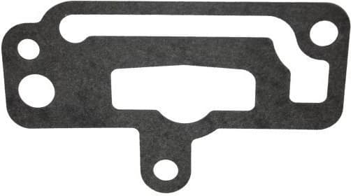 Gasket, coolant flange 190054510 - image 2