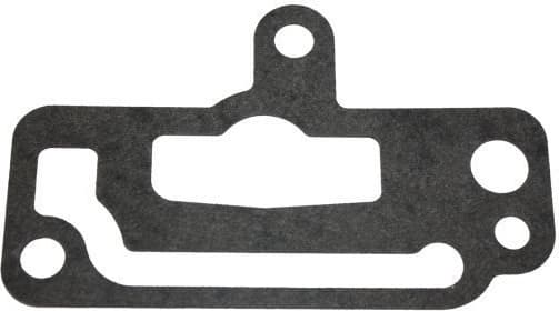 Gasket, coolant flange 190054510 - image 3