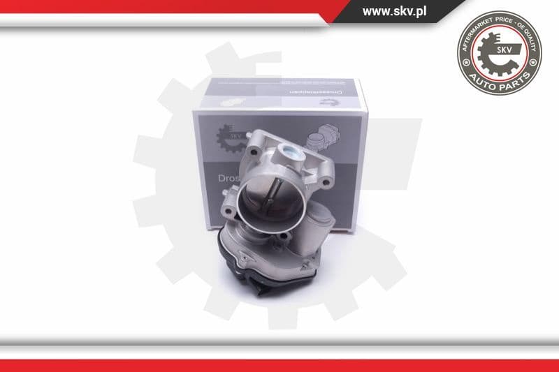 Throttle Body 12SKV104