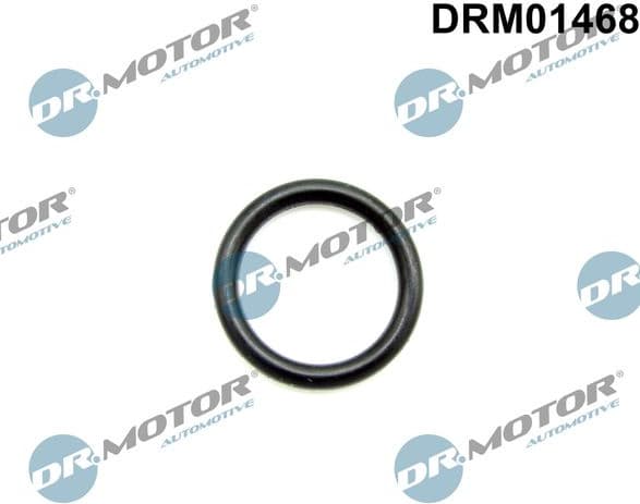 Seal Ring, coolant pipe DRM01468