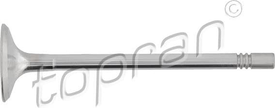 Intake Valve 111 597