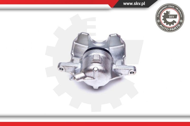 Brake Caliper 42SKV962